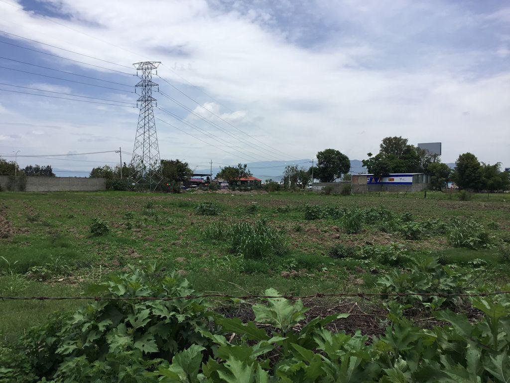 Foto de la galeria de imagenes